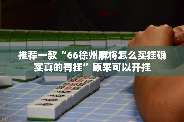 推荐一款“66徐州麻将怎么买挂确实真的有挂”原来可以开挂
