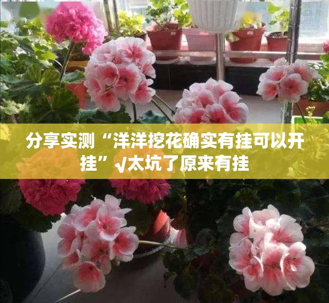 分享实测“洋洋挖花确实有挂可以开挂”√太坑了原来有挂