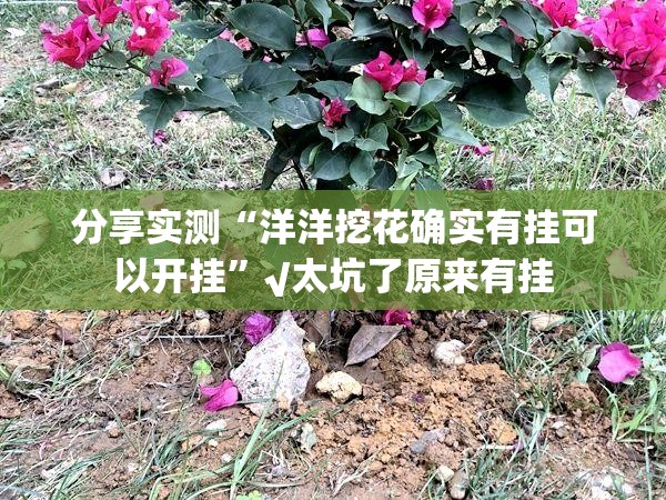 分享实测“洋洋挖花确实有挂可以开挂”√太坑了原来有挂