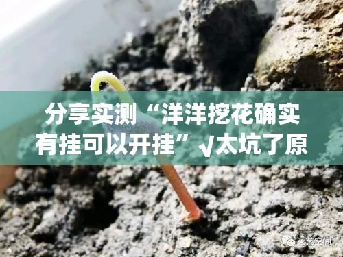 分享实测“洋洋挖花确实有挂可以开挂”√太坑了原来有挂