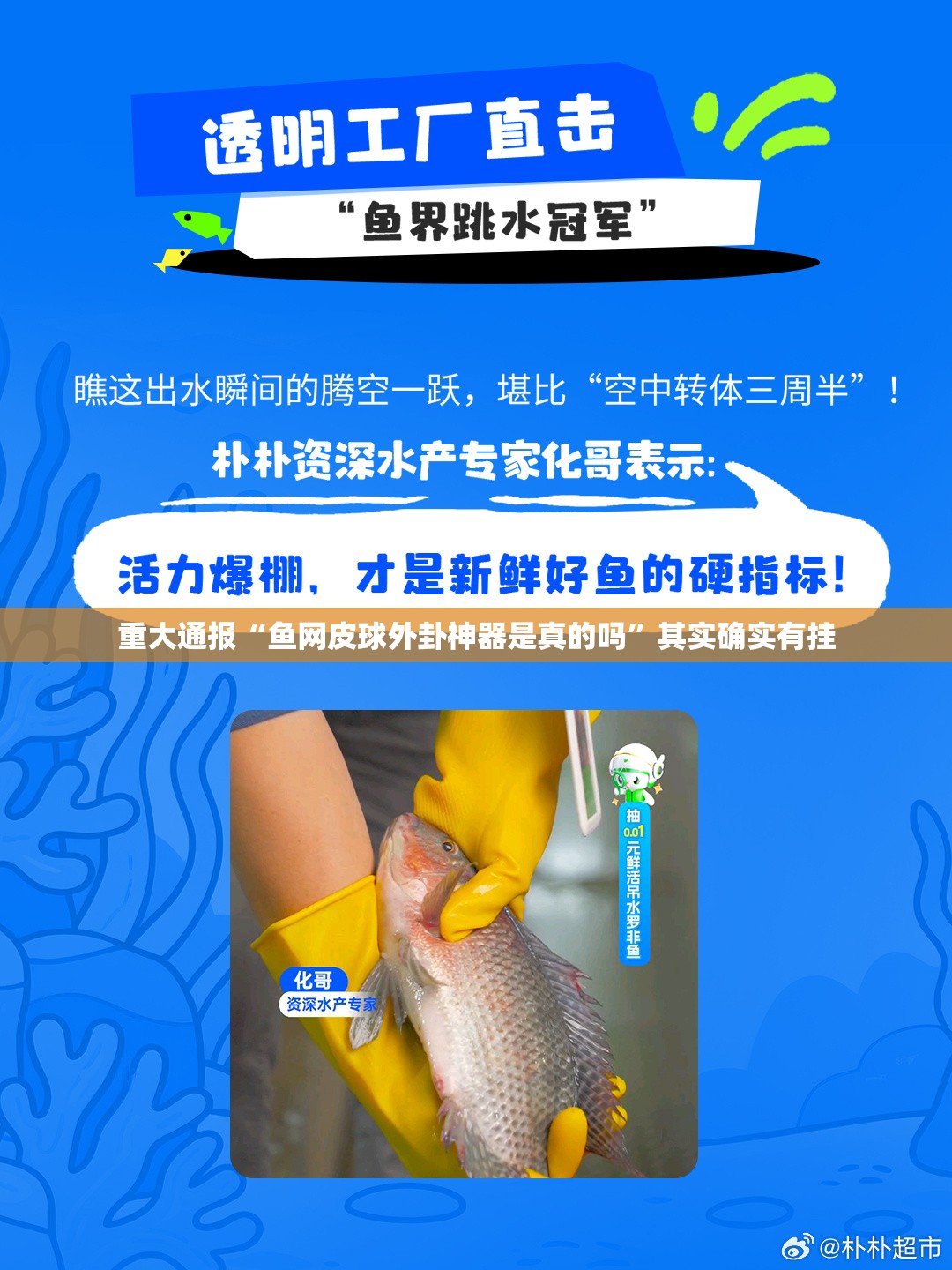 重大通报“鱼网皮球外卦神器是真的吗”其实确实有挂