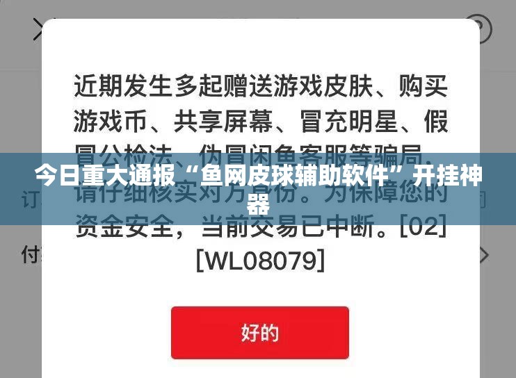 今日重大通报“鱼网皮球辅助软件”开挂神器