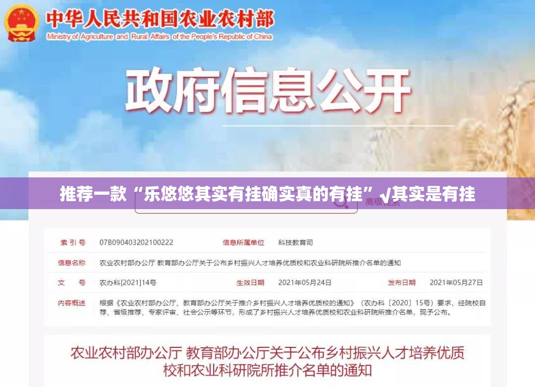 推荐一款“乐悠悠其实有挂确实真的有挂”√其实是有挂