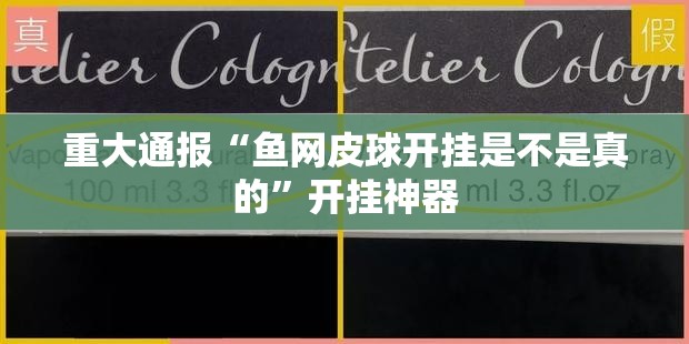 重大通报“鱼网皮球开挂是不是真的”开挂神器