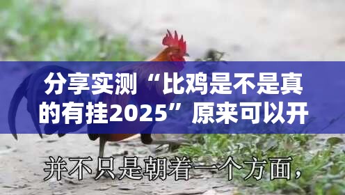 分享实测“比鸡是不是真的有挂2025”原来可以开挂
