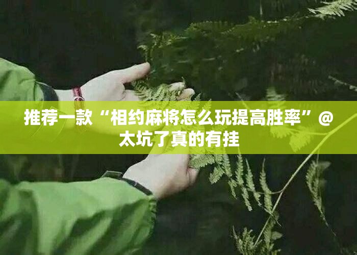 推荐一款“相约麻将怎么玩提高胜率”@太坑了真的有挂