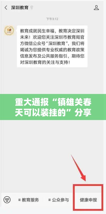 重大通报“镇雄关春天可以装挂的”分享真的有挂给你