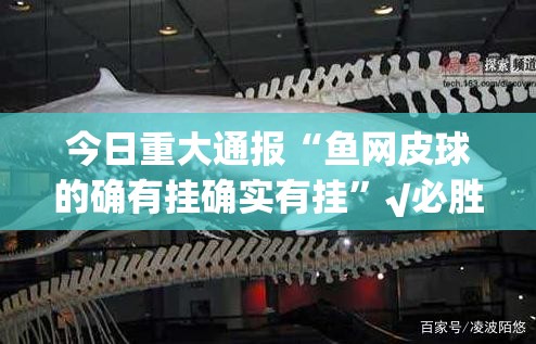 今日重大通报“鱼网皮球的确有挂确实有挂”√必胜开挂神器