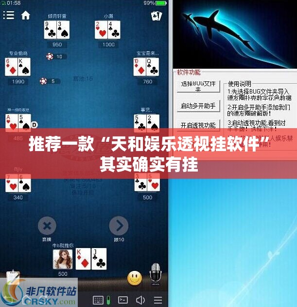 推荐一款“天和娱乐透视挂软件”其实确实有挂