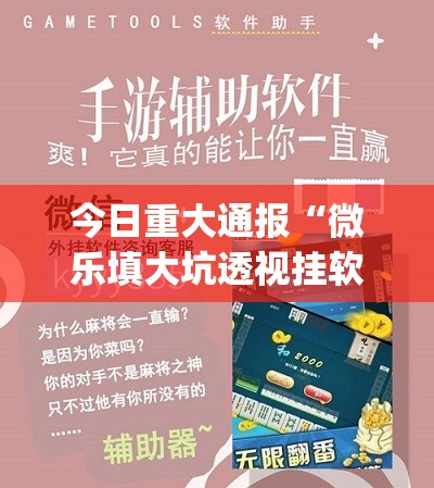 今日重大通报“微乐填大坑透视挂软件”(原来确实是有挂)