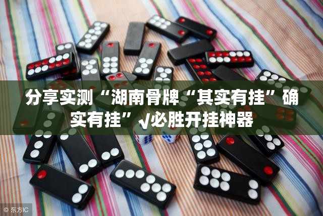 分享实测“湖南骨牌“其实有挂”确实有挂”√必胜开挂神器