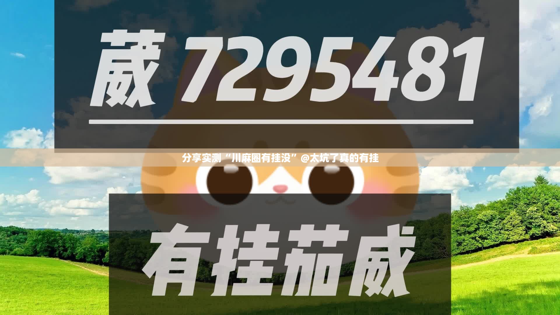 分享实测“川麻圈有挂没”@太坑了真的有挂