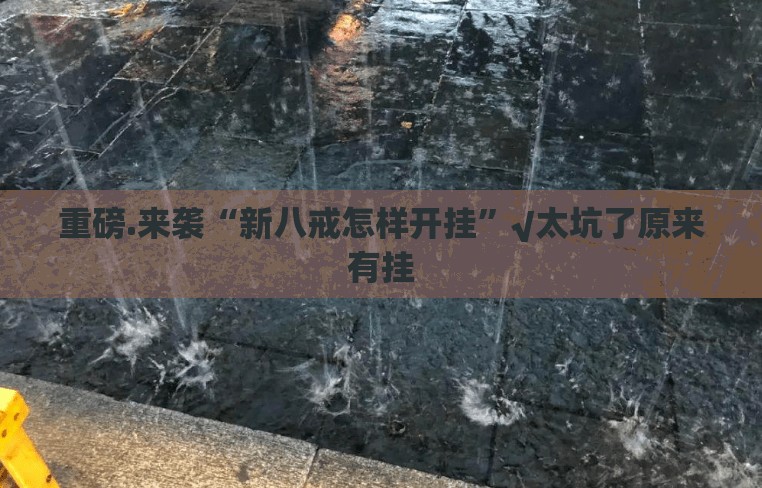 重磅.来袭“新八戒怎样开挂”√太坑了原来有挂