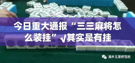今日重大通报“三三麻将怎么装挂”√其实是有挂