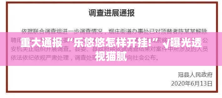 重大通报“乐悠悠怎样开挂!”√曝光透视猫腻