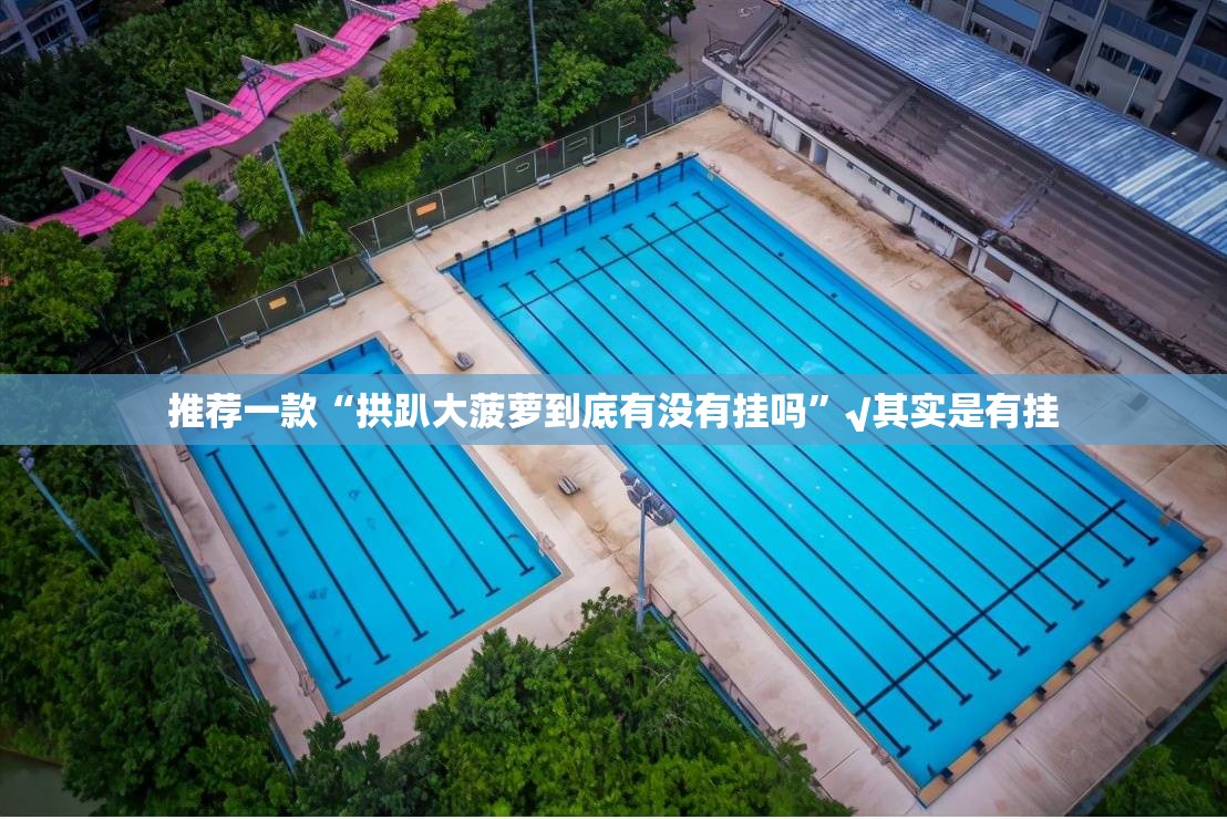 推荐一款“拱趴大菠萝到底有没有挂吗”√其实是有挂