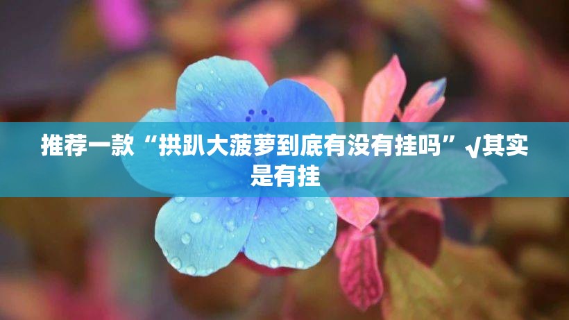 推荐一款“拱趴大菠萝到底有没有挂吗”√其实是有挂