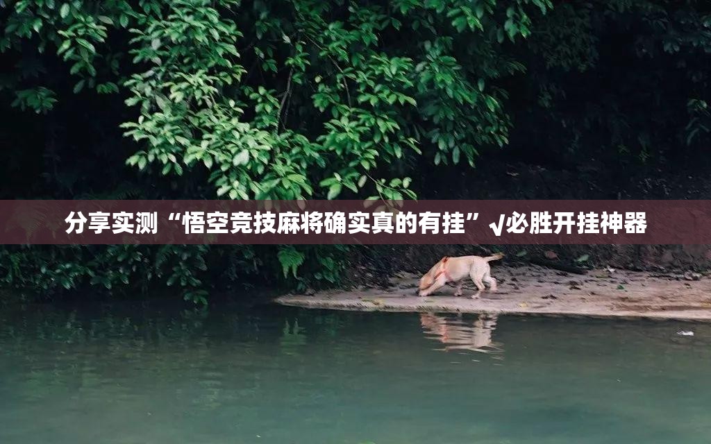 分享实测“悟空竞技麻将确实真的有挂”√必胜开挂神器