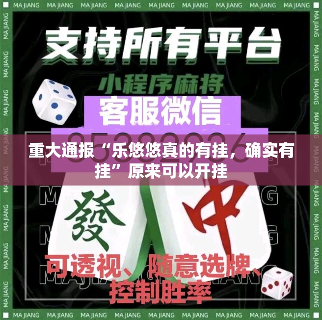 重大通报“乐悠悠真的有挂，确实有挂”原来可以开挂