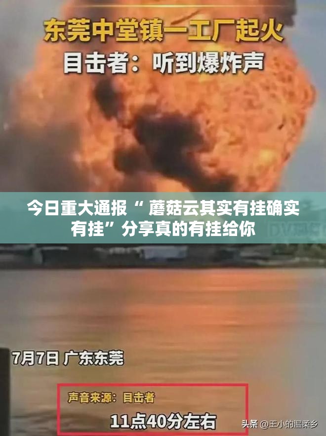 今日重大通报“ 蘑菇云其实有挂确实有挂”分享真的有挂给你