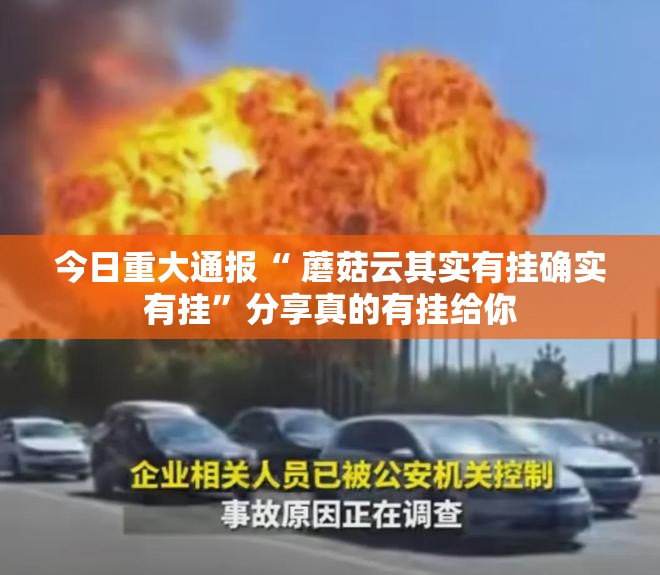 今日重大通报“ 蘑菇云其实有挂确实有挂”分享真的有挂给你