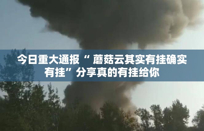 今日重大通报“ 蘑菇云其实有挂确实有挂”分享真的有挂给你