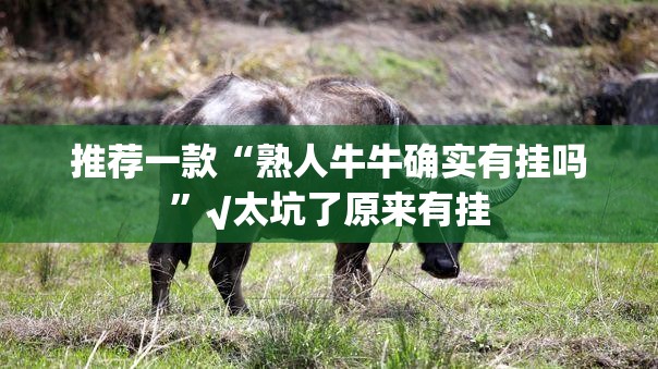推荐一款“熟人牛牛确实有挂吗”√太坑了原来有挂