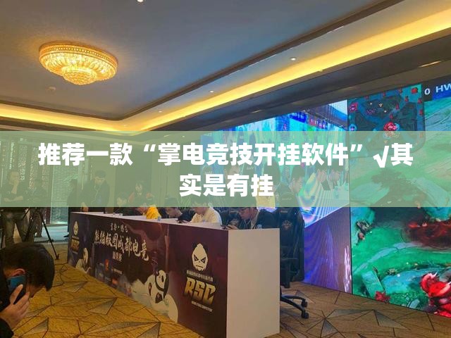 推荐一款“掌电竞技开挂软件”√其实是有挂