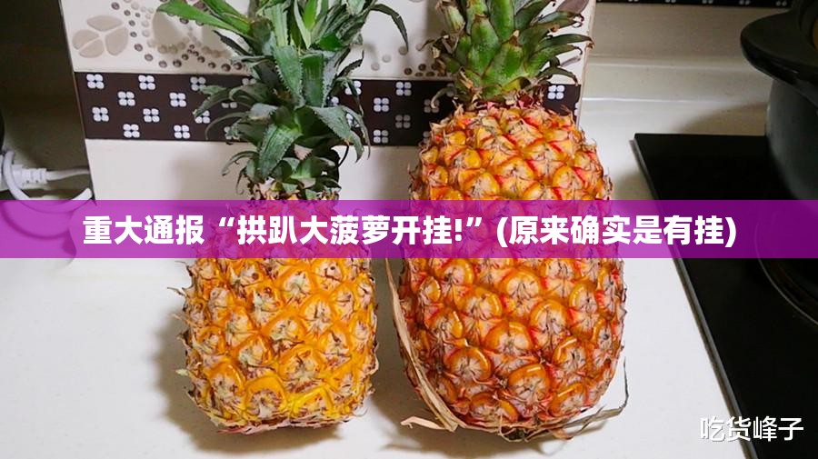 重大通报“拱趴大菠萝开挂!”(原来确实是有挂)