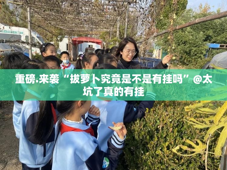推荐一款星火燎原开挂辅助!详细开挂教程√太坑了原来有挂