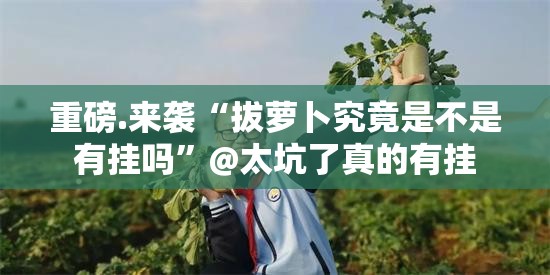 重磅.来袭“拔萝卜究竟是不是有挂吗”@太坑了真的有挂