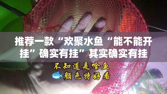 推荐一款“欢聚水鱼“能不能开挂”确实有挂”其实确实有挂