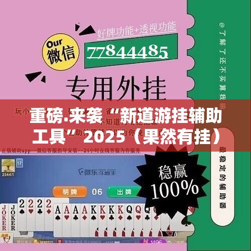 重磅.来袭“新道游挂辅助工具”2025（果然有挂）