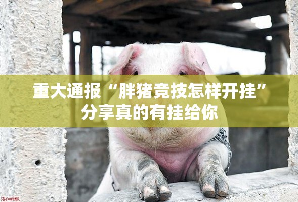 分享实测东阳四副牌辅助挂 确实真的有挂