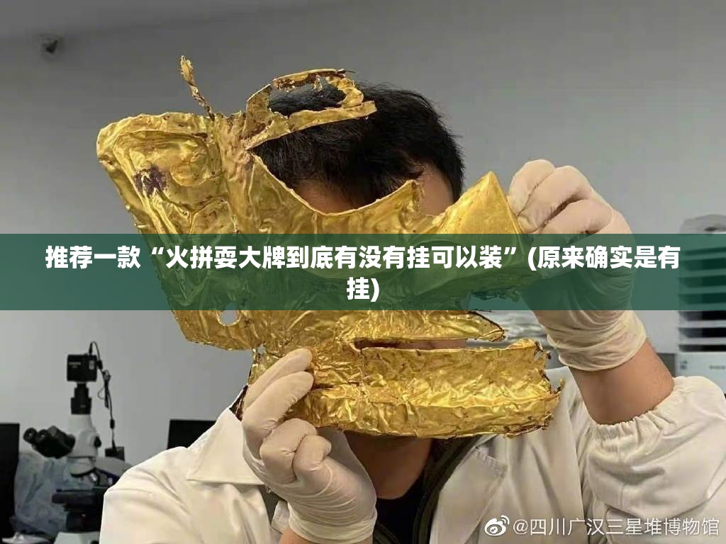 推荐一款“火拼耍大牌到底有没有挂可以装”(原来确实是有挂)