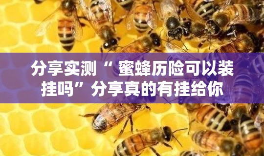 分享实测“ 蜜蜂历险可以装挂吗”分享真的有挂给你