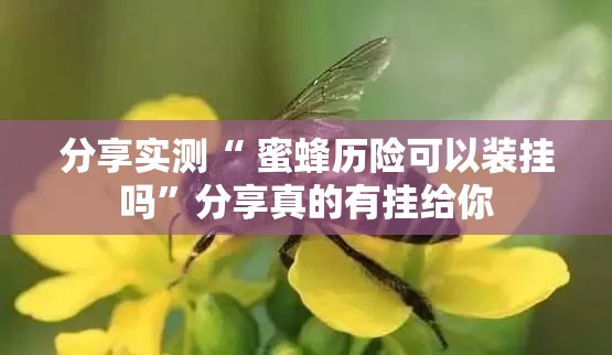 分享实测“ 蜜蜂历险可以装挂吗”分享真的有挂给你