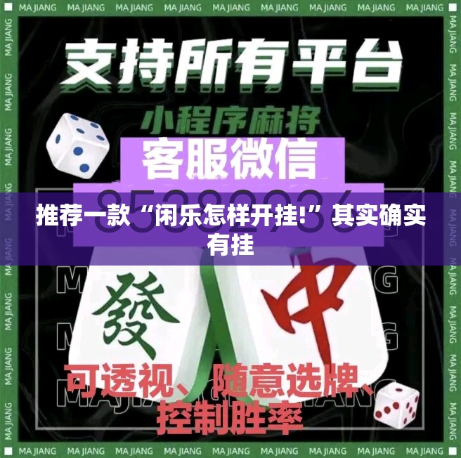 推荐一款“闲乐怎样开挂!”其实确实有挂
