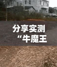 分享实测“牛魔王有没有挂,确实真的有挂”其实有挂-知乎