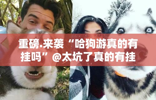 重磅.来袭“哈狗游真的有挂吗”@太坑了真的有挂