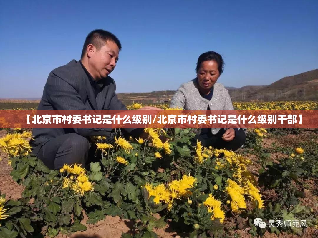 重大通报享博棋牌必赢软件开挂神器