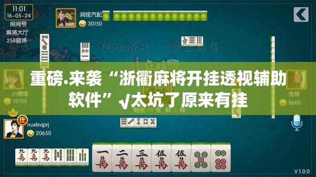 重磅.来袭“浙衢麻将开挂透视辅助软件”√太坑了原来有挂