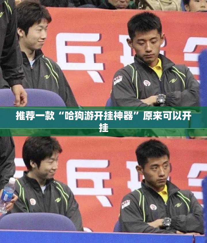 推荐一款“哈狗游开挂神器”原来可以开挂