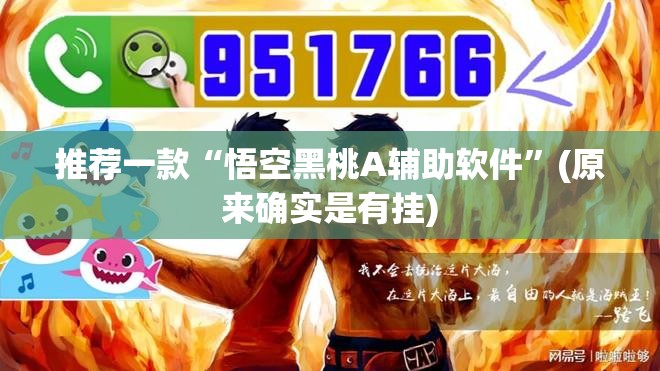 推荐一款“悟空黑桃A辅助软件”(原来确实是有挂)