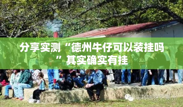 分享实测“德州牛仔可以装挂吗”其实确实有挂