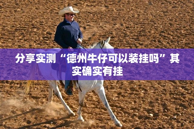 分享实测“德州牛仔可以装挂吗”其实确实有挂