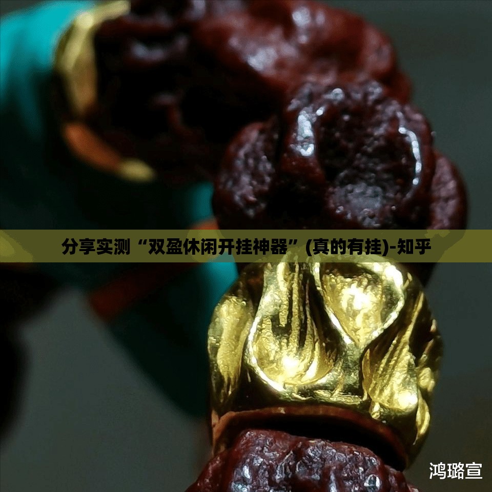 推荐一款新八戒开挂方法原来可以开挂