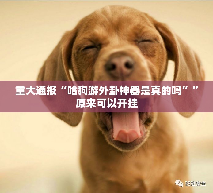 重大通报“哈狗游外卦神器是真的吗””原来可以开挂