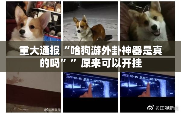 重大通报“哈狗游外卦神器是真的吗””原来可以开挂