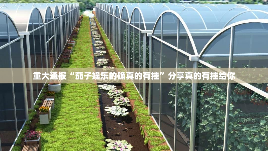 重大通报“茄子娱乐的确真的有挂”分享真的有挂给你